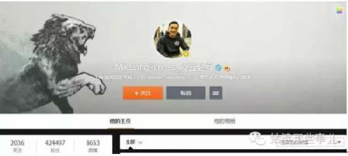 几个网红的日常:不当广告狗如何变现?